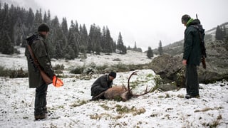 Drei Jäger erlegen einen Hirsch