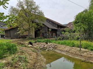 Garten vor altem Haus. Garten vor altem Haus.