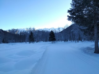 Langlaufloipe auf Ebene mit Bergen.
