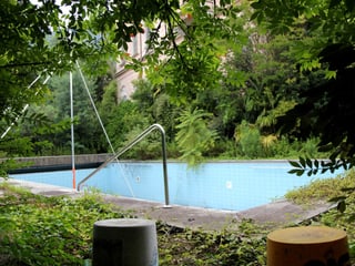 Pool umringt von Grünpflanzen.