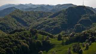 Landschaft im Aargauer Jura mit viel grünem Wald 