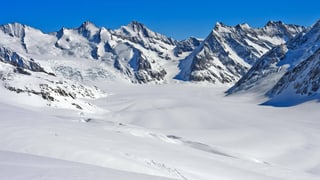 Blick auf schneebedeckte Berge, dazwischen riesige Eismassen