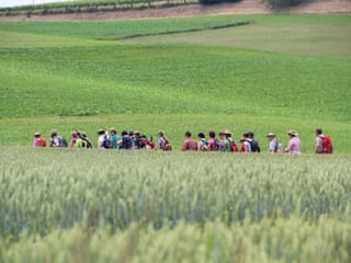 Die bunte Wandergruppe ist mitten im Grünen auf einem Feldweg unterwegs.