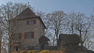 Schloss Buchegg