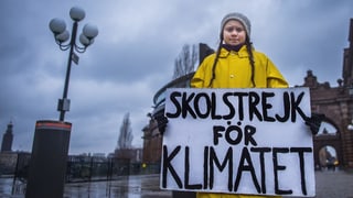 Vorbild aus Schweden