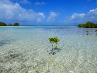Stimmen die Prognosen der Wissenschaftler, dürfte Kiribati als erste Nation der Welt dem Klimawandel zum Opfer fallen.