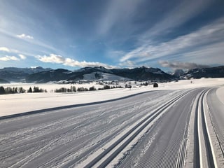Langlaufloipe in der Landschaft.