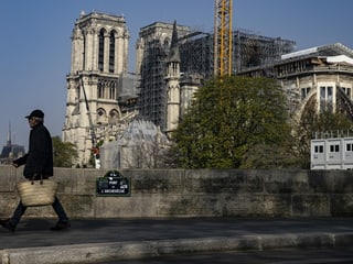 Notre Dame von weitem.