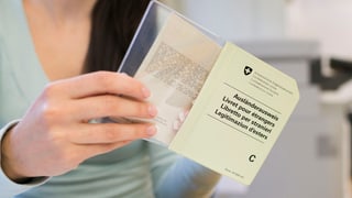 Eine Person hält den C-Ausweis in der Hand.