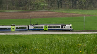 Ein Zug auf der Strecke Bern-Freiburg.