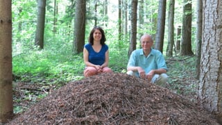 Paul Döbeli und Christine Arnold  hinter einem Ameisenhaufen