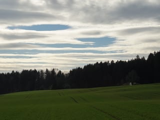 Eine grüne Wiese und ein Himmel mit Wolkenfelder. Links im Bild startet ein Flugzeug.