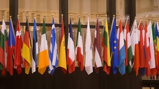 Flaggen der EU-Mitglieder
