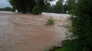 Wiese unter Wasser
