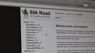 Ein Bild der Drogen-Plattform The Silk Road im Darknet.