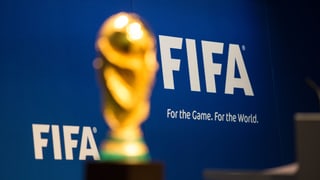 Der WM-Pokal vor einem FIFA-Werbebanner.