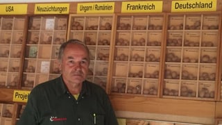Heinrich Gubler vor seinem Nuss-Archiv mit 300 Walnuss-Sorten aus der ganzen Welt.