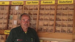 Heinrich Gubler vor seinem Nuss-Archiv mit 300 Walnuss-Sorten aus der ganzen Welt. Heinrich Gubler vor seinem Nuss-Archiv mit 300 Walnuss-Sorten aus der ganzen Welt.