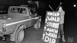 Ein Mann hält ein Plakat, auf dem «Unser Wald stirbt auch wegen dir!» steht, an einer Autostrasse. Ein Mann hält ein Plakat, auf dem «Unser Wald stirbt auch wegen dir!» steht, an einer Autostrasse.