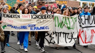 Demonstrierende Schüler in Zürich