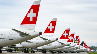 Swissflugzeuge stehen am Boden nebeneinander, es sind nur die Hinterteile zu sehen.