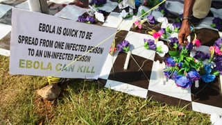 Schild mit derm Hinweis, dass Ebola töten kann und ein paar Blumen