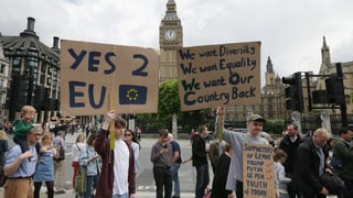 EIn junger Brexit-Gegner hält ein Schild hoch, dahiner der Glockenturm Big Ben