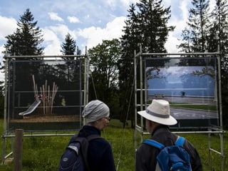 Zwei Personen betrachten Fotografien, die auf einer Wiese aufgestellt wurden.