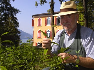 Peter Oppliger auf der Teeplantage.