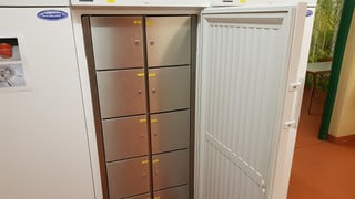 Kühlschrank mit Schliessfächern