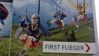 Drei Touristen rasen lachend an einem Seil talwärts. Drei Touristen rasen lachend an einem Seil talwärts.