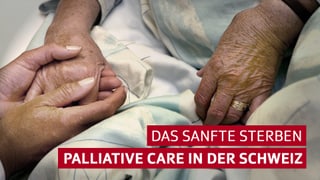 Hände halten sich mit Titel Palliative Care