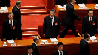 Xi und Li stehen neben anderen hohen Partikadern. Xi und Li stehen neben anderen hohen Partikadern.