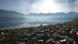 Zu sehen der Thunersee. Zu sehen der Thunersee.