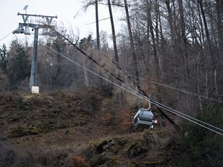 Bäume auf Tragseile der Bergbahn in Pizol.