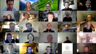 Screenshot einer Online-Konferenz Screenshot einer Online-Konferenz