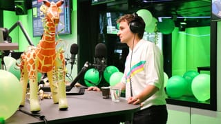 SRF Virus
