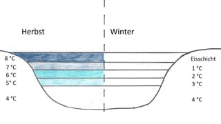 Grafische Darstellung von Temperaturen eines Sees. Grafische Darstellung von Temperaturen eines Sees.