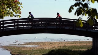 Uferweg am Bodensee.