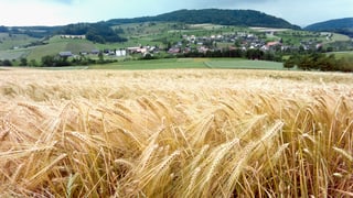 Bauern-Initiative