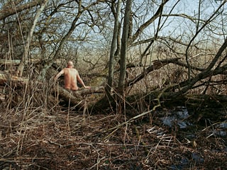 Ein nackter Mann sitzt auf dem Ast eines Baumes, man sieht den Rücken.