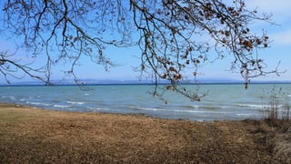 Blick von Münsterlingen auf den aufgewühlten Bodensee. Blick von Münsterlingen auf den aufgewühlten Bodensee.