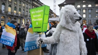Klimademo in Bern.