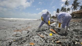 Personen in Ganzkörperanzügen schaufeln am Strand Granulat in Säcke. Personen in Ganzkörperanzügen schaufeln am Strand Granulat in Säcke.