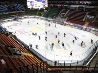 Hockeyspieler Hockeyspieler