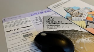 Unterlagen zu E-Voting