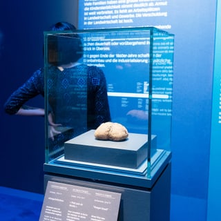Ein «Hungerbrötchen» in einer Glasvitrine. Ein «Hungerbrötchen» in einer Glasvitrine.