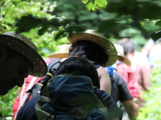 Die Wandergruppe von hinten auf dem Wanderweg durch den Wald.