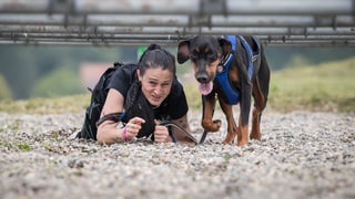 Eine Frau kriecht mit ihrem Hund unter Stangen durch ein Kiesbett.