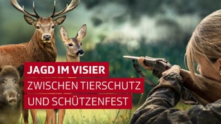 Jagd im Visier: Zwischen Tierschutz und Schützenfest